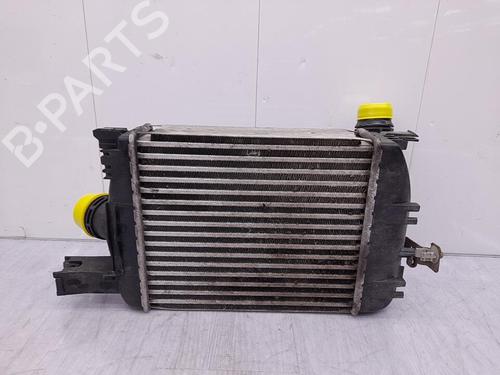 Intercooler RENAULT CLIO IV (BH_) 1.5 dCi 75 | BP23706390M30 - Image 5