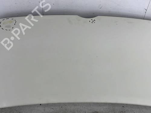Hood VW TRANSPORTER T5 Van (7HA, 7HH, 7EA, 7EH) 1.9 TDI | BP27571229C1 