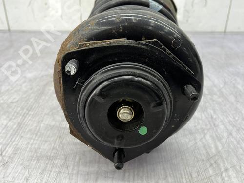 Right rear shock absorber NISSAN X-TRAIL I (T30)  | BP24950475M19 