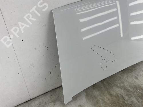 Hood RENAULT RAPID Box Body/MPV (F40_, G40_) 1.6 D (F404) | BP23758244C1