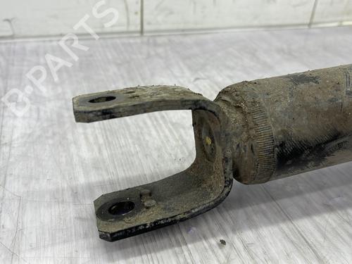 Amortecedor trás direito VW PHAETON (3D1, 3D2, 3D3, 3D4, 3D6, 3D7, 3D8, 3D9) 3.0 V6 TDI 4motion | BP30353184M19