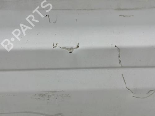 Left tailgate FORD TRANSIT Van (FA_ _) 2.2 TDCi | BP29582857C76 