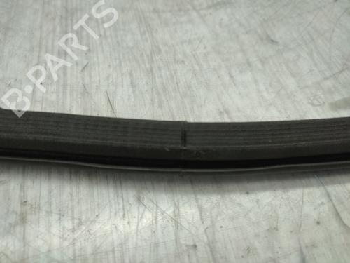 Rubber door seal PEUGEOT 208 II (UB_, UP_, UW_, UJ_) 1.2 PureTech 100 | BP27617470C142 