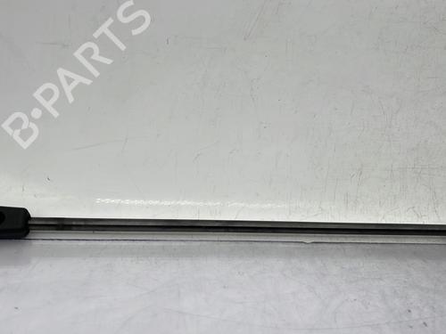 Hood lift support RENAULT MEGANE III Hatchback (BZ0/1_, B3_) 1.9 dCi (BZ0N, BZ0J) | BP24509443C139 