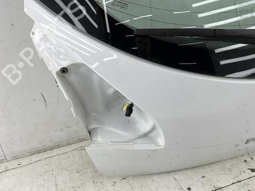 Tailgate RENAULT MEGANE III Hatchback (BZ0/1_, B3_) 1.5 dCi (BZ09, BZ0D, BZ1W, BZ29, BZ14) | BP23753687C6 