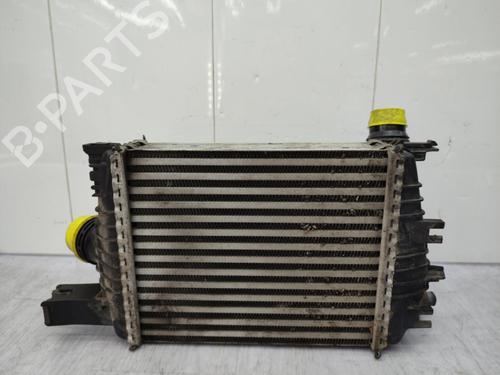 Intercooler DACIA DUSTER (HS_) 1.2 TCe 125 | BP23723125M30 - Image 3