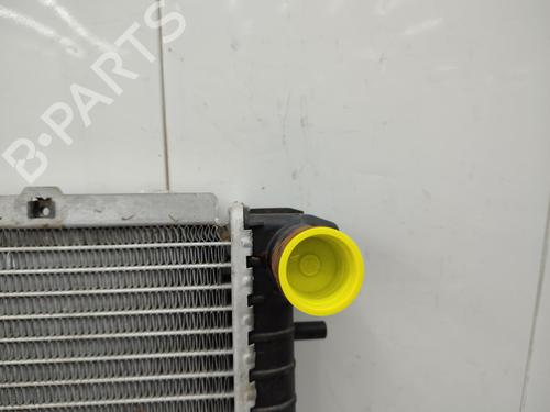Water radiator RENAULT TRAFIC Van (T_, P_, V_)  | BP23743018M31 