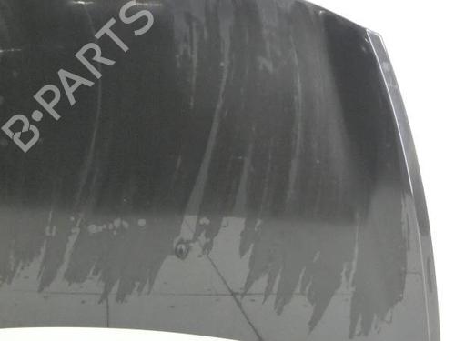 Used Hood RENAULT CLIO III (BR0/1, CR0/1) 1.5 dCi (C/BR0G, C/BR1G) (68 hp) 23701933