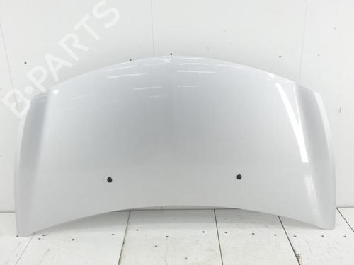 Used Hood RENAULT CLIO III (BR0/1, CR0/1) 1.5 dCi (C/BR0G, C/BR1G) (68 hp) 23696207