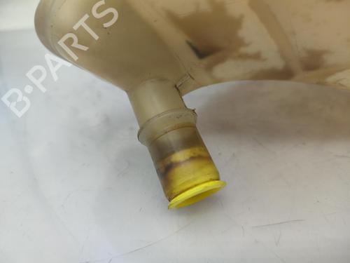 expansion-tank-renault-twingo-ii-cn0_-2007-23713053 main image