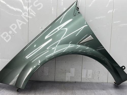 Used Left front fenders RENAULT MEGANE II (BM0/1_, CM0/1_) 1.6 16V (BM0C, CM0C) (113 hp) 25006484