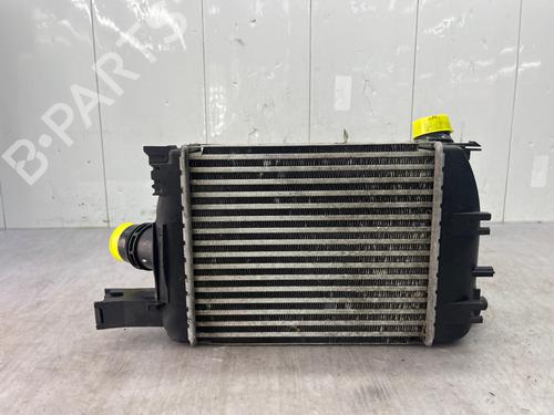 Intercooler DACIA LODGY (JS_) 1.5 dCi (JSMC, JSAF) | BP36093829M30 - Image 4