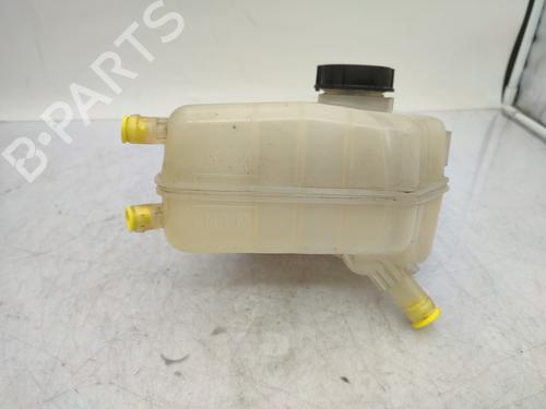 Expansion tank FORD FIESTA VI (CB1, CCN) 1.5 TDCi | BP23851824C120 
