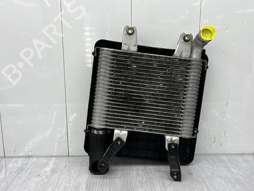 Intercooler KIA CARNIVAL I (UP, FL) 2.9 TDi | BP23759543M30  - Image 9