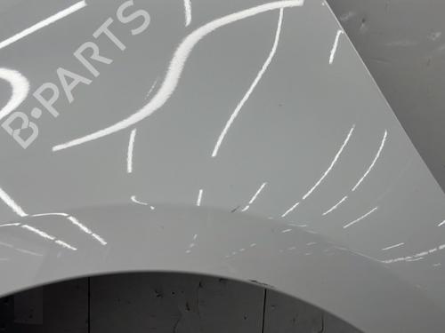 Left front fenders RENAULT SCÉNIC III (JZ0/1_) 1.5 dCi | BP23756535C41 