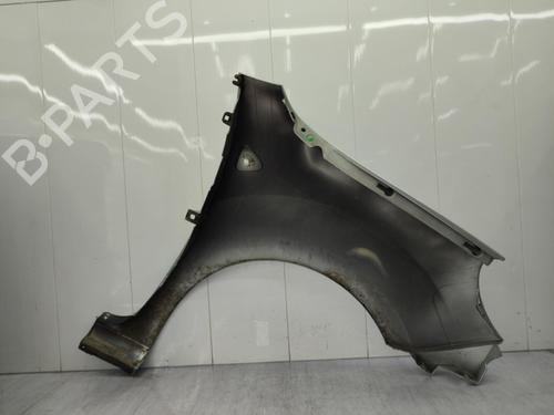 Left front fenders RENAULT KANGOO / GRAND KANGOO II (KW0/1_) 1.5 dCi 90 (KW05, KW08, KW0G, KW11) | BP23721199C41 