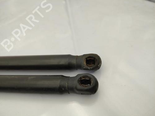 tailgate-lift-support-peugeot-1007-km_-2005-23721137 main image