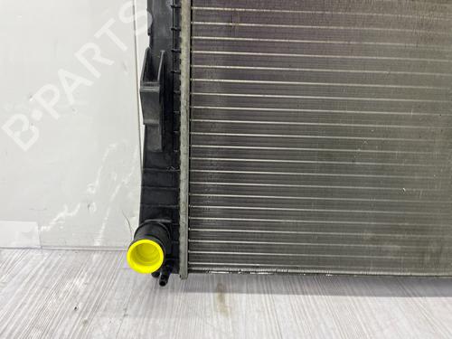Water radiator RENAULT TWINGO II (CN0_) 1.5 dCi (CN0E) | BP38561321M31 - Image 6