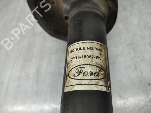 Right front shock absorber FORD TRANSIT CONNECT (P65_, P70_, P80_) 1.8 TDCi | BP23728976M17 