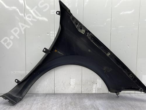 Left front fenders RENAULT MEGANE II Coupé-Cabriolet (EM0/1_) 1.9 dCi | BP30698531C41 