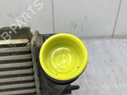 Intercooler FORD FIESTA VI (CB1, CCN) 1.0 EcoBoost | BP23761062M30 