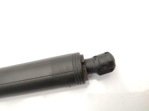 Tailgate lift support BMW X1 (F48) sDrive 16 d | BP23741968C138 