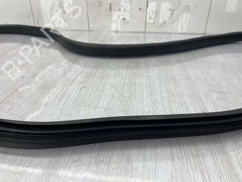 rubber-door-seal-dacia-sandero-iii-2021-37868053 main image