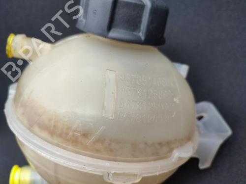 Expansion tank PEUGEOT 308 II (LB_, LP_, LW_, LH_, L3_) 1.6 BlueHDi 120 | BP23753537C120