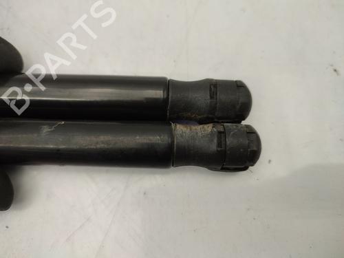 Tailgate lift support CITROËN DS4 (NX_) 1.6 HDi 115 | BP25346539C138 