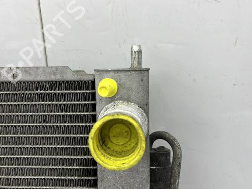 Used Water radiator Water radiator RENAULT CLIO III (BR0/1, CR0/1) 1.2 16V (BR02, BR0J, BR11, CR02, CR0J, CR11) (75 hp) 23753390 23753390