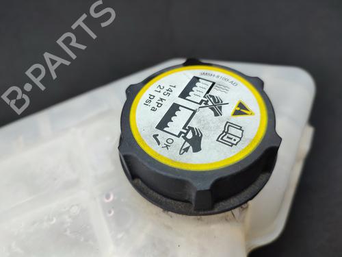 Expansion tank FORD FIESTA VI (CB1, CCN) 1.25 | BP23680294C120 