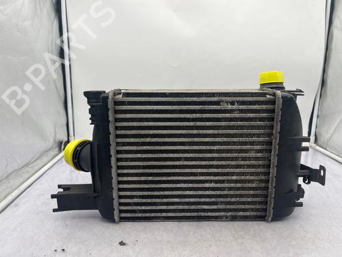 Intercooler DACIA SANDERO II 1.5 dCi | BP36093826M30 - Image 2