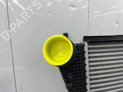 Intercooler SEAT ALTEA (5P1) 1.6 TDI | BP33984266M30  - Image 7