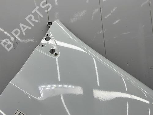 Right front fenders RENAULT CLIO III (BR0/1, CR0/1) 1.5 dCi (C/BR0G, C/BR1G) | BP27650897C42 