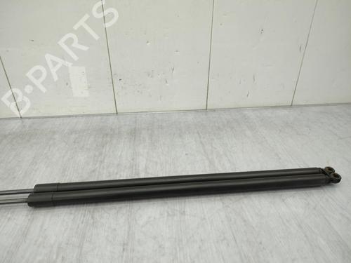 tailgate-lift-support-renault-kangoo-grand-kangoo-ii-kw01_-2008-23740328 main image
