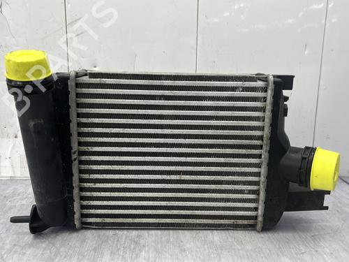 Intercooler RENAULT CAPTUR I (J5_, H5_) 1.2 TCe 120 | BP30902447M30 