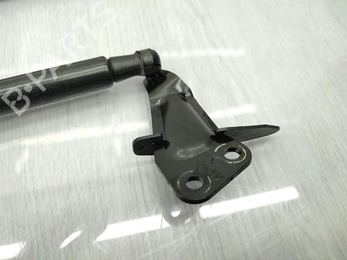 Used Tailgate lift support NISSAN JUKE (F15) 1.5 dCi (110 hp) 23719700