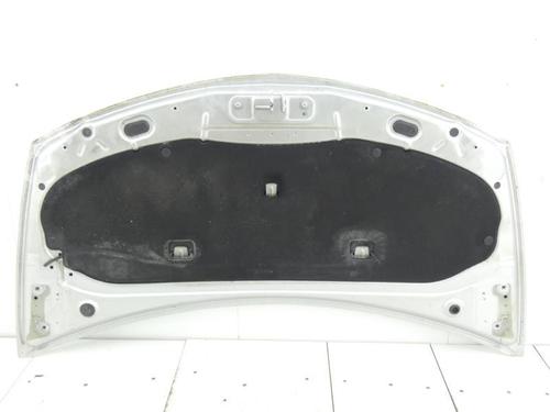 Hood RENAULT CLIO III (BR0/1, CR0/1) 1.5 dCi (C/BR0G, C/BR1G) | BP23696207C1 