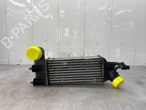 Intercooler PEUGEOT 607 (9D, 9U) 2.2 HDi | BP37189532M30 - Image 8