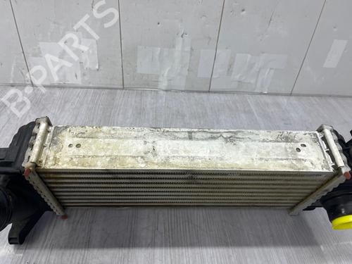 Intercooler RENAULT KANGOO Express (FW0/1_) | BP38425943M30 - Image 3
