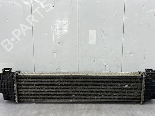 Intercooler FORD C-MAX (DM2) 1.8 TDCi | BP33934953M30  - Image 6