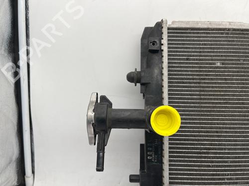 Used Water radiator Water radiator CITROËN C1 (PM_, PN_) 1.0 (68 hp) 35890512 35890512
