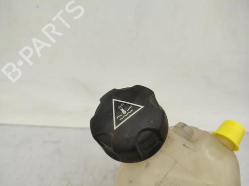 expansion-tank-citroen-c5-iii-break-rw_-2008-2009-2010-2011-2012-2013-2014-2015-2016-2017-23669446 main image