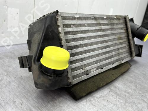 Intercooler FIAT 500 (312_) 0.9 (312AXG1A, 312.AXG11) | BP23756048M30 