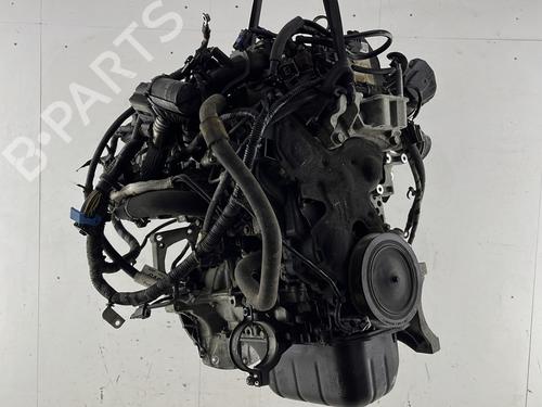 Engine FORD FOCUS III 1.6 TDCi | BP33313401M1 - Image 2