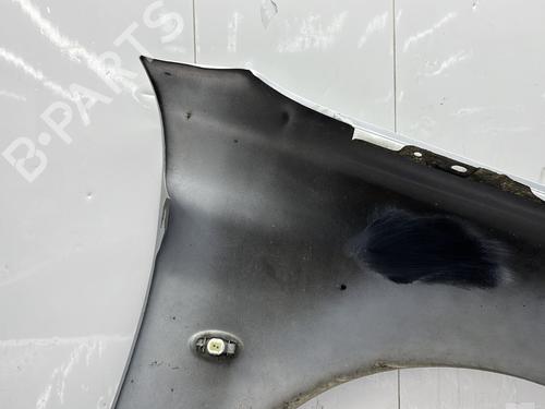 Left front fenders PEUGEOT 206 Hatchback (2A/C) 1.4 HDi eco 70 | BP28110267C41 