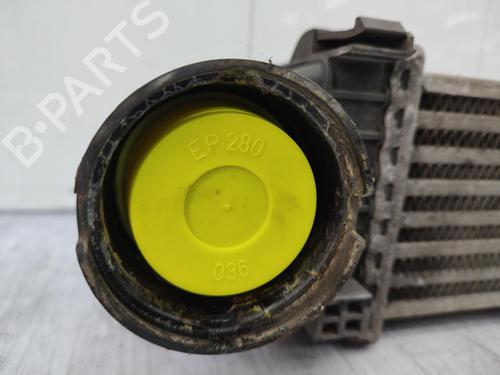 Intercooler MERCEDES-BENZ A-CLASS (W169) A 180 CDI (169.007, 169.307) | BP23712549M30 