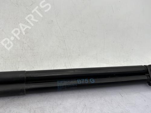 Tailgate lift support CITROËN DS4 (NX_) 1.6 HDi 115 | BP23757742C138 