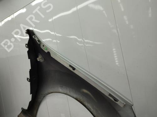 Left front fenders RENAULT KANGOO / GRAND KANGOO II (KW0/1_) 1.5 dCi 90 (KW05, KW08, KW0G, KW11) | BP23721199C41 