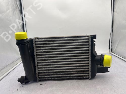 Intercooler DACIA SANDERO II 1.5 dCi | BP36093826M30 - Image 5